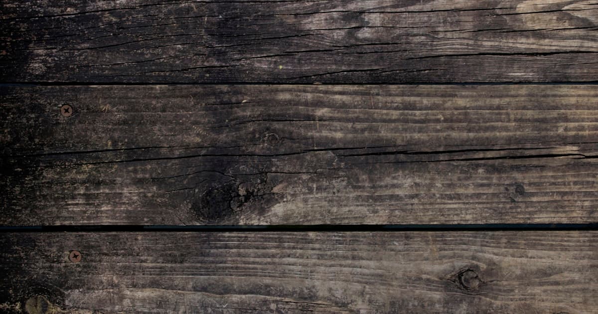 The Best Flooring for Austin Homes: What Actually Holds Up