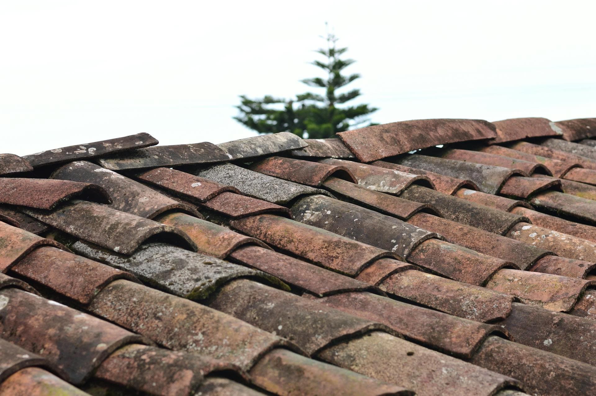 GAF Roofing Materials Explained: What NYC Homeowners Need to Know